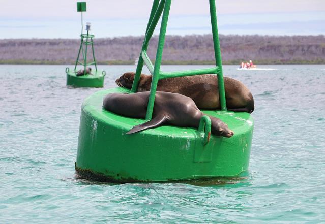 Galápagos National Park